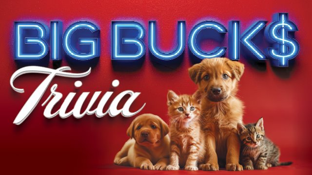 Animal Welfare League Big Bucks Trivia